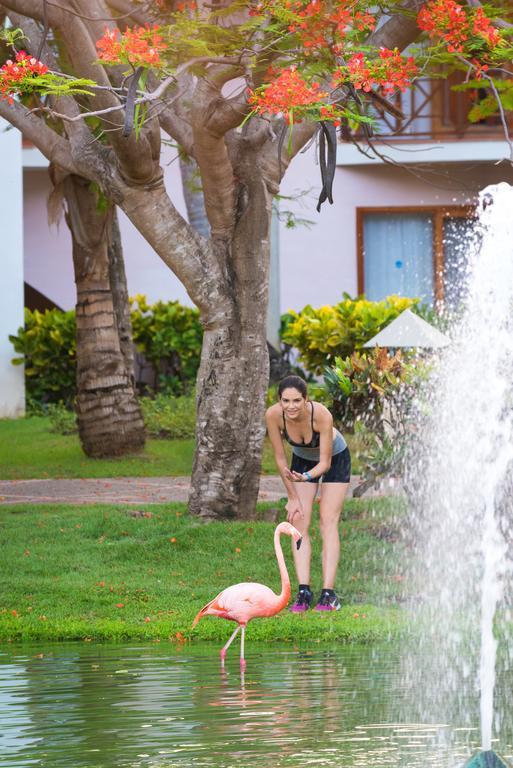 Resort Natura Park Beach & Spa Eco 5*